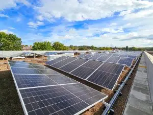 New Framework Delivery Director Appointed at Reds10